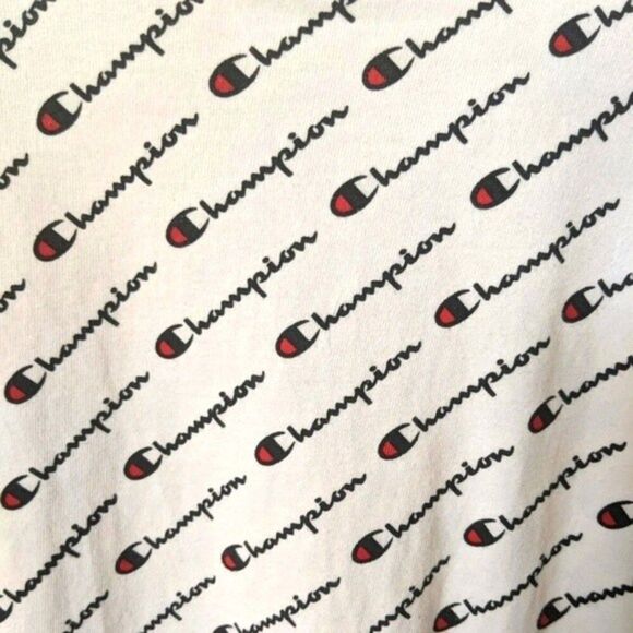 5/$55 Champion men's Medium logo tee t-shirt - Picture 4 of 4